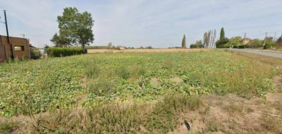 Programme terrain + maison à Illies en Nord (59) de 189 m² à vendre au prix de 452000€ - 4