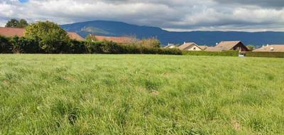 Programme terrain + maison à Valleiry en Haute-Savoie (74) de 120 m² à vendre au prix de 654759€ - 4