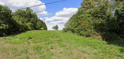 Terrain seul à Vulaines-sur-Seine en Seine-et-Marne (77) de 384 m² à vendre au prix de 129000€ - 2