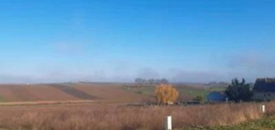 Terrain seul à Bachy en Nord (59) de 530 m² à vendre au prix de 145000€ - 1