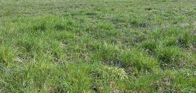 Programme terrain + maison à Louzac-Saint-André en Charente (16) de 79 m² à vendre au prix de 194453€ - 4