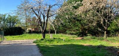 Terrain seul à Soyaux en Charente (16) de 469 m² à vendre au prix de 57500€ - 1
