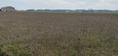 Terrain seul à Archingeay en Charente-Maritime (17) de 543 m² à vendre au prix de 44725€ - 1