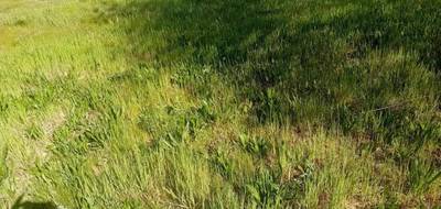 Terrain seul à Arcachon en Gironde (33) de 800 m² à vendre au prix de 1145950€ - 1