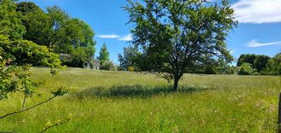 Terrain seul à Saint-Martin-Terressus en Haute-Vienne (87) de 1538 m² à vendre au prix de 36500€ - 3