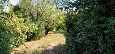 Terrain seul à Lorgues en Var (83) de 857 m² à vendre au prix de 235000€ - 4