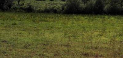 Terrain seul à Sort-en-Chalosse en Landes (40) de 645 m² à vendre au prix de 70500€ - 1
