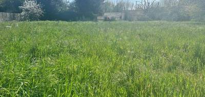 Terrain seul à Salles-sur-Mer en Charente-Maritime (17) de 564 m² à vendre au prix de 255000€ - 1