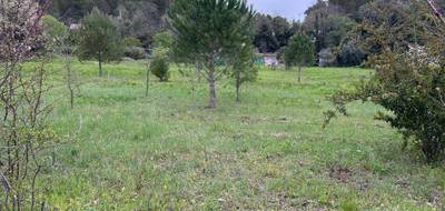 Programme terrain + maison à Lorgues en Var (83) de 100 m² à vendre au prix de 349000€ - 4