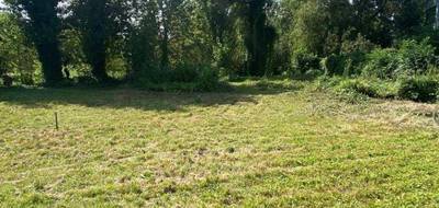 Programme terrain + maison à Colmar en Haut-Rhin (68) de 125 m² à vendre au prix de 470000€ - 4