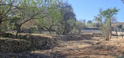Terrain seul à Tourrette-Levens en Alpes-Maritimes (06) de 1000 m² à vendre au prix de 250000€ - 2