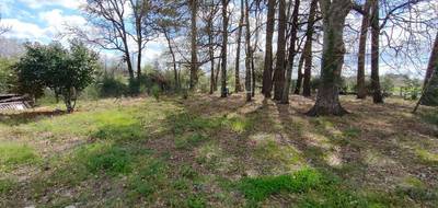 Terrain seul à Budos en Gironde (33) de 2660 m² à vendre au prix de 79000€ - 1