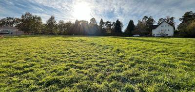 Programme terrain + maison à Rilhac-Rancon en Haute-Vienne (87) de 88 m² à vendre au prix de 207028€ - 4