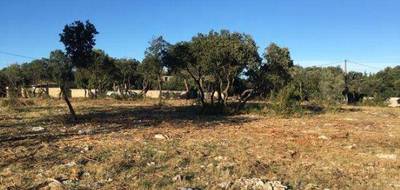 Programme terrain + maison à Poulx en Gard (30) de 71 m² à vendre au prix de 208600€ - 3