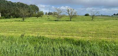 Terrain seul à Caumont-sur-Garonne en Lot-et-Garonne (47) de 1900 m² à vendre au prix de 31000€ - 2