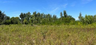Terrain seul à Castelnaudary en Aude (11) de 1111 m² à vendre au prix de 95000€ - 1