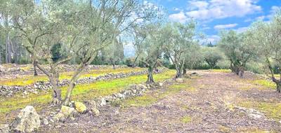 Programme terrain + maison à Bagnols-en-Forêt en Var (83) de 100 m² à vendre au prix de 455000€ - 4