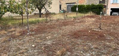 Terrain seul à Pexiora en Aude (11) de 251 m² à vendre au prix de 30000€ - 3