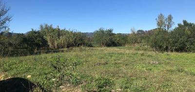 Programme terrain + maison à Brissac en Hérault (34) de 100 m² à vendre au prix de 365500€ - 3