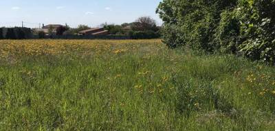 Terrain seul à Ardillières en Charente-Maritime (17) de 348 m² à vendre au prix de 43500€ - 3