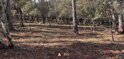 Terrain seul à Le Thoronet en Var (83) de 769 m² à vendre au prix de 155000€ - 2