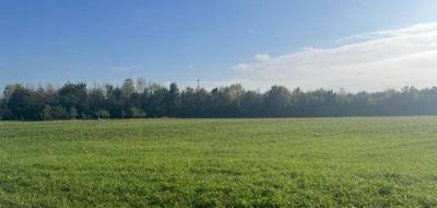 Programme terrain + maison à Renwez en Ardennes (08) de 160 m² à vendre au prix de 401000€ - 3