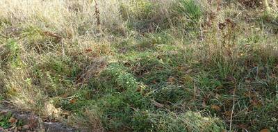 Terrain seul à Farschviller en Moselle (57) de 1340 m² à vendre au prix de 113900€ - 3