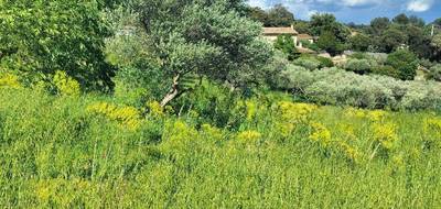 Terrain seul à Lorgues en Var (83) de 650 m² à vendre au prix de 128000€ - 2