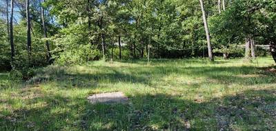 Terrain seul à Gréasque en Bouches-du-Rhône (13) de 580 m² à vendre au prix de 205000€ - 3