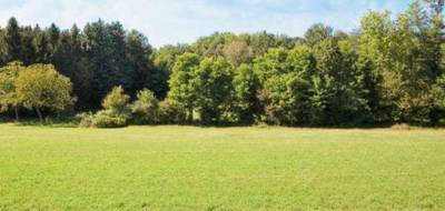 Programme terrain + maison à Butry-sur-Oise en Val-d'Oise (95) de 83 m² à vendre au prix de 260000€ - 3