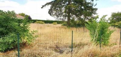 Terrain seul à Perthes-lès-Brienne en Aube (10) de 1550 m² à vendre au prix de 26500€ - 1