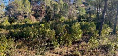 Terrain seul à Brignoles en Var (83) de 617 m² à vendre au prix de 135000€ - 3
