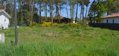 Terrain seul à Magescq en Landes (40) de 603 m² à vendre au prix de 130000€ - 3