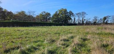 Programme terrain + maison à Pins-Justaret en Haute-Garonne (31) de 90 m² à vendre au prix de 314000€ - 4