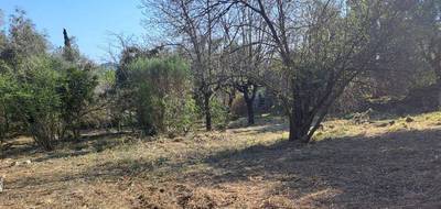 Terrain seul à Tourrette-Levens en Alpes-Maritimes (06) de 1608 m² à vendre au prix de 290000€ - 4