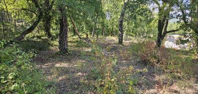 Terrain seul à Callian en Var (83) de 1189 m² à vendre au prix de 199000€ - 4