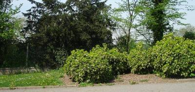 Terrain seul à Rubelles en Seine-et-Marne (77) de 339 m² à vendre au prix de 172000€ - 1