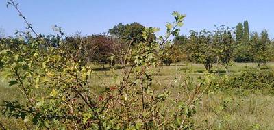 Terrain seul à Vaison-la-Romaine en Vaucluse (84) de 590 m² à vendre au prix de 119000€ - 3