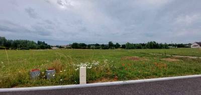 Terrain seul à Noyen-sur-Sarthe en Sarthe (72) de 620 m² à vendre au prix de 36580€ - 1