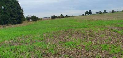 Programme terrain + maison à Monchy-Breton en Pas-de-Calais (62) de 123 m² à vendre au prix de 301800€ - 4