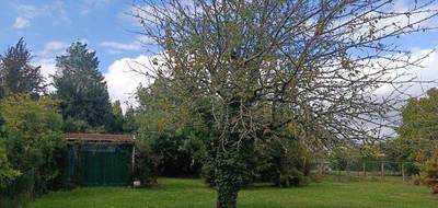Terrain seul à Villenave-d'Ornon en Gironde (33) de 800 m² à vendre au prix de 230000€ - 1