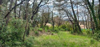 Terrain seul à Rocbaron en Var (83) de 850 m² à vendre au prix de 140000€ - 3