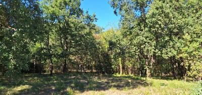 Programme terrain + maison à Mondonville en Haute-Garonne (31) de 115 m² à vendre au prix de 366777€ - 4