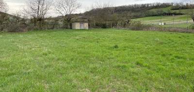 Programme terrain + maison à Viviers-lès-Montagnes en Tarn (81) de 112 m² à vendre au prix de 252872€ - 4