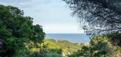 Terrain seul à Sainte-Maxime en Var (83) de 1800 m² à vendre au prix de 1500000€ - 3