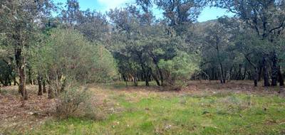 Terrain seul à Sainte-Anastasie-sur-Issole en Var (83) de 2700 m² à vendre au prix de 156000€ - 1