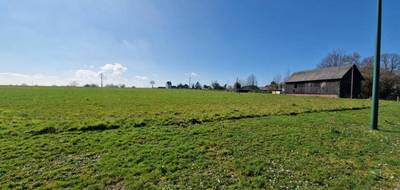 Programme terrain + maison à Beuzeville-la-Grenier en Seine-Maritime (76) de 100 m² à vendre au prix de 252000€ - 3