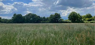 Programme terrain + maison à Sablé-sur-Sarthe en Sarthe (72) de 90 m² à vendre au prix de 222100€ - 3