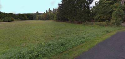 Terrain seul à Tigeaux en Seine-et-Marne (77) de 1004 m² à vendre au prix de 150000€ - 2
