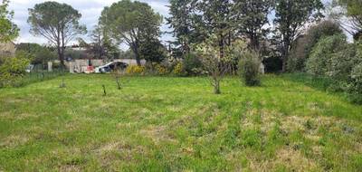Terrain seul à Sainte-Cécile-les-Vignes en Vaucluse (84) de 856 m² à vendre au prix de 121000€ - 4